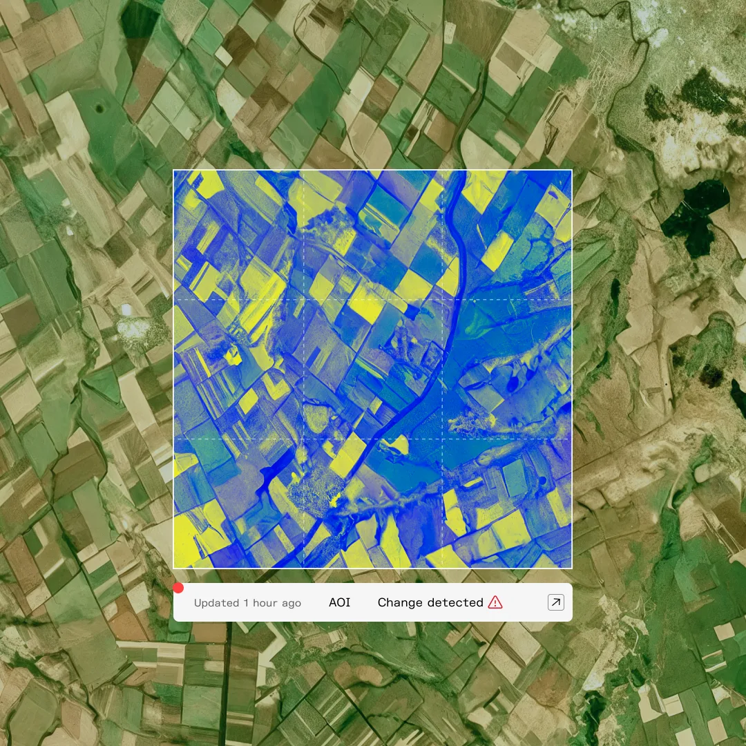 Kuva Sense hyperspectral analysis layer highlighting crop conditions field by field over satellite imagery of farmland