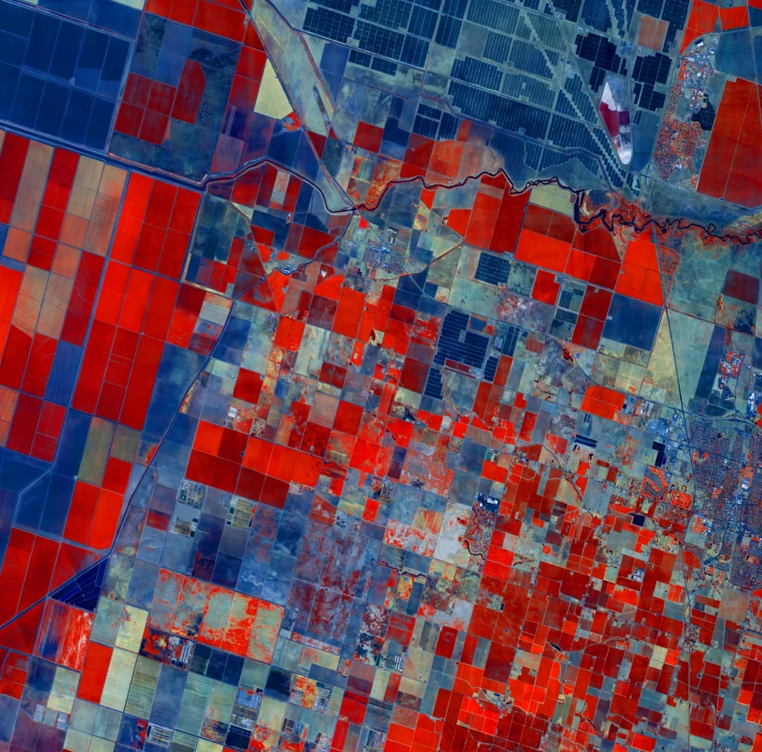 False-color hyperspectral satellite image of irrigated farm fields, with vegetation shown in red, from Xplore's data service
